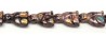 111-88-967 19/13mm 3/wild cat2
