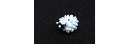 羊