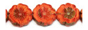 271-88-512 20mm 96020/86800