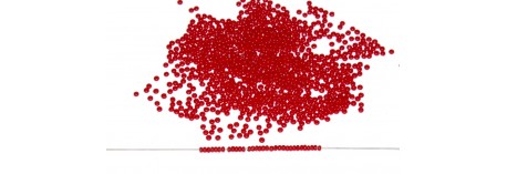 Charlotta  13/o 93510