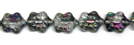 ŽELVA 14/11MM 0003 RAINBOW1