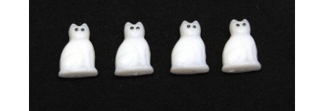 CAT 0201 MONTANA EYE