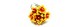 120-ring 11630