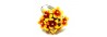 120-ring 11630