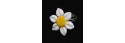120-ring 11641
