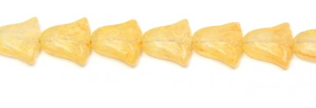 111-88-579 10mm 00030 43605