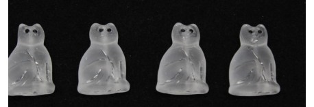 CAT 19/13mm Ice cat YET EYE